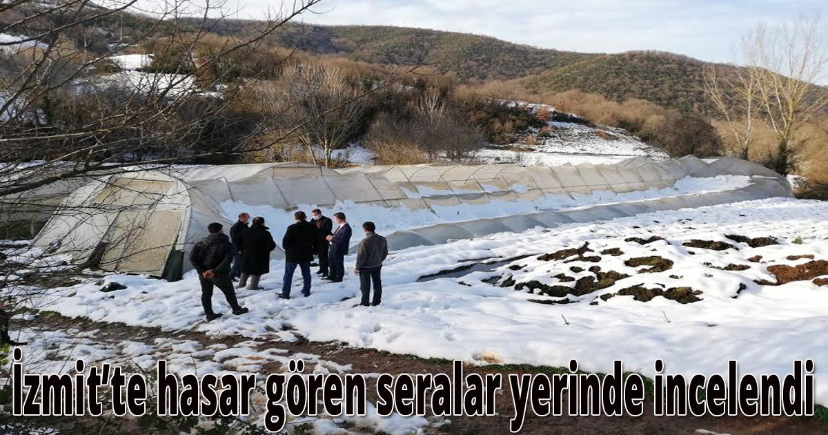 İzmit’te hasar gören seralar yerinde incelendi