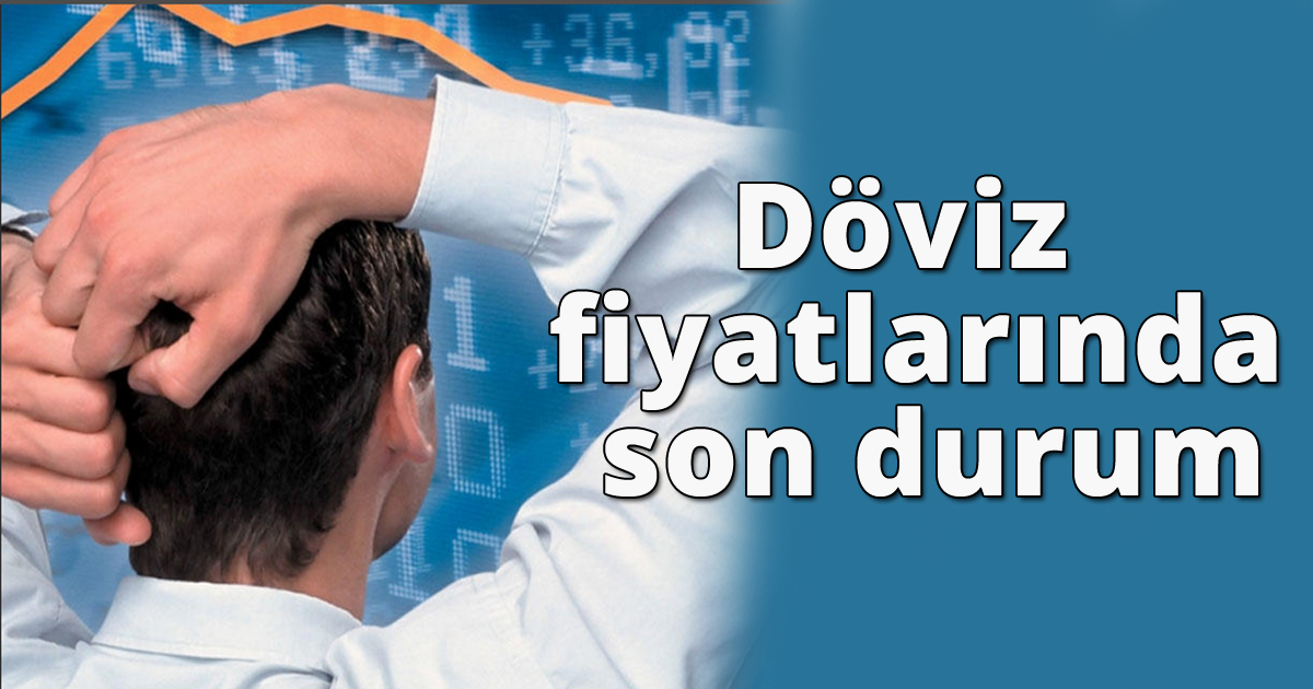Döviz fiyatlarında son durum