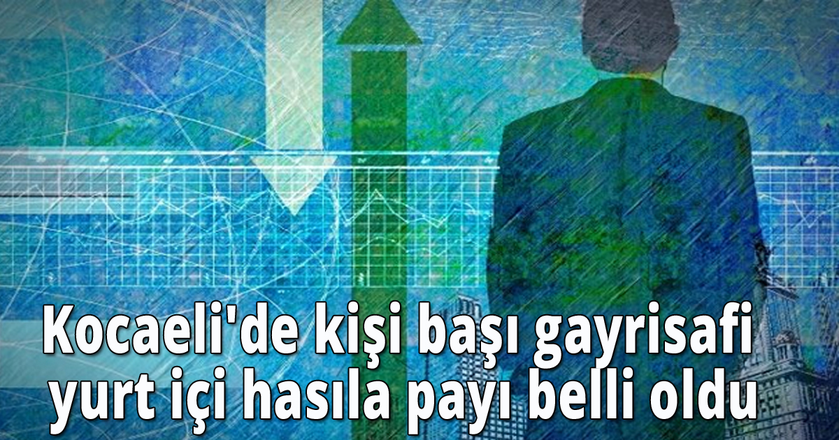 Kocaeli'de kişi başı gayrisafi yurt içi hasıla payı belli oldu