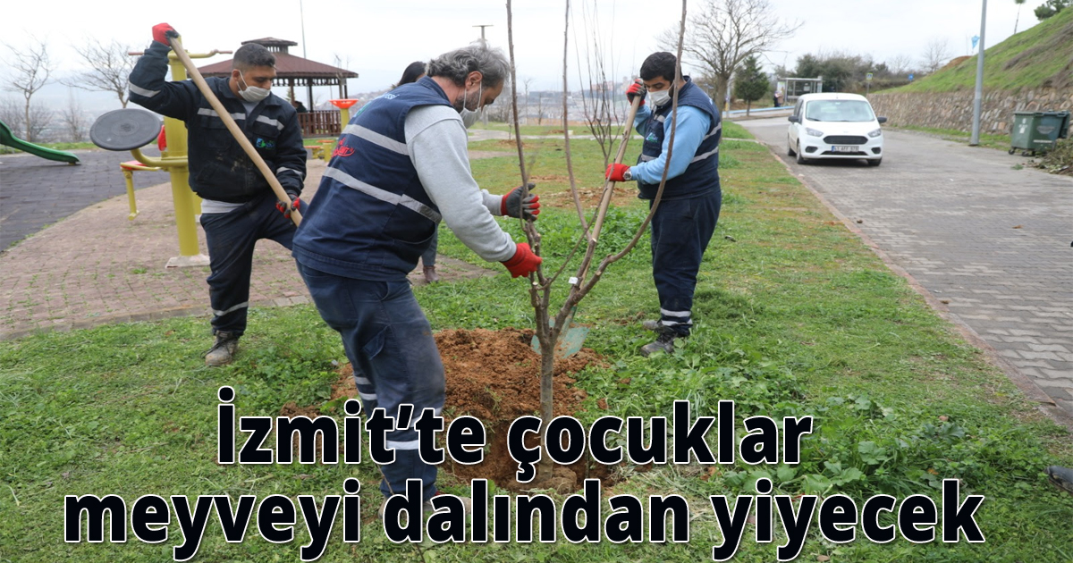 İzmit’te çocuklar meyveyi dalından yiyecek