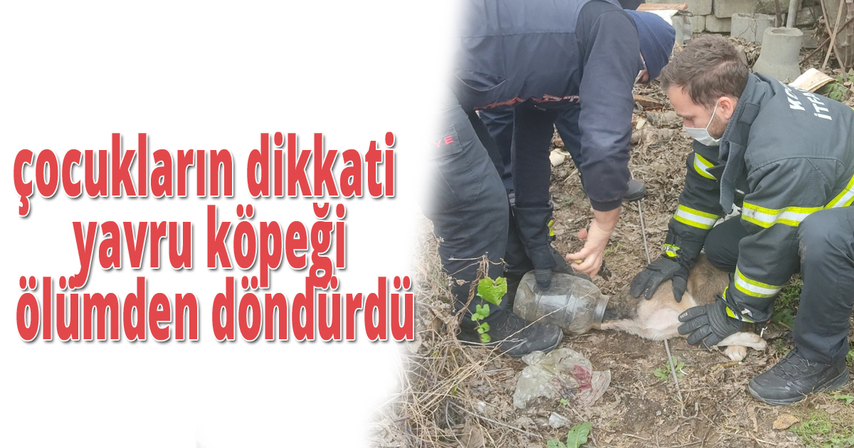 Çocukların dikkati yavru köpeği ölümden döndürdü
