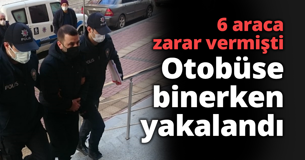 6 araca zarar vermişti