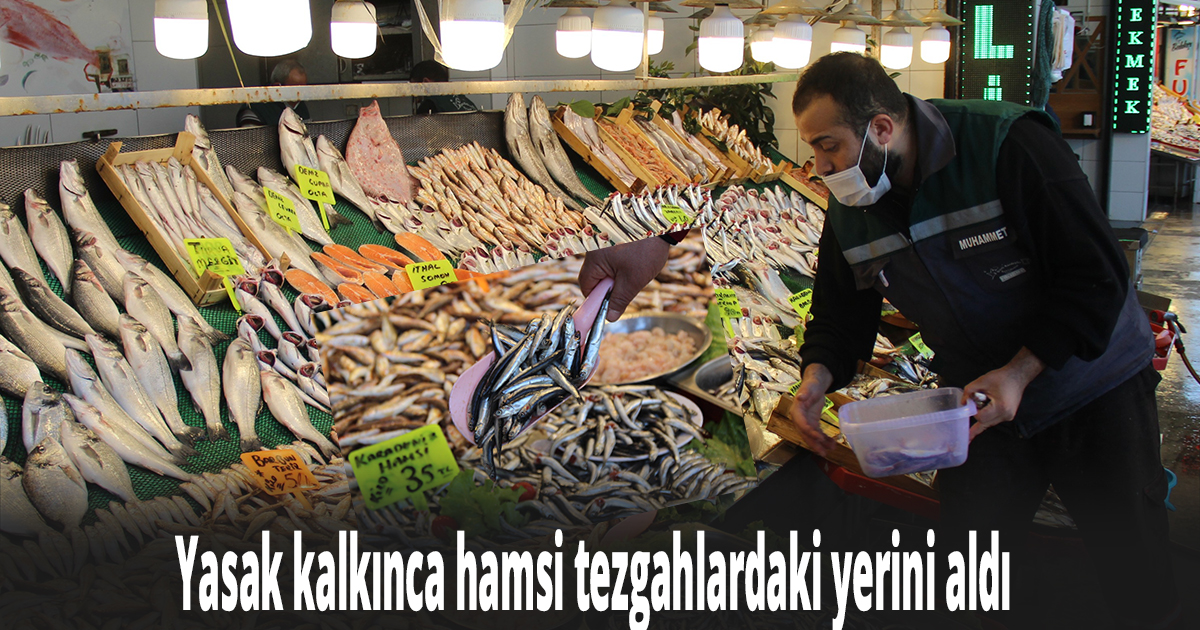 Kocaeli’de hamsi bereketi