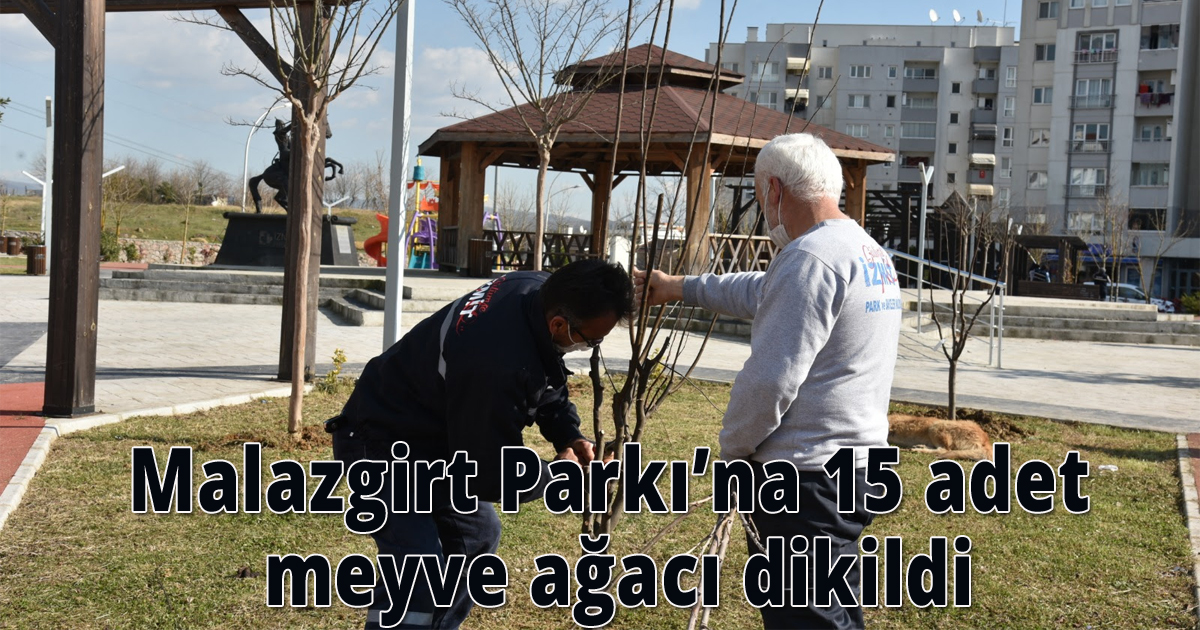Malazgirt Parkı’na 15 adet meyve ağacı dikildi
