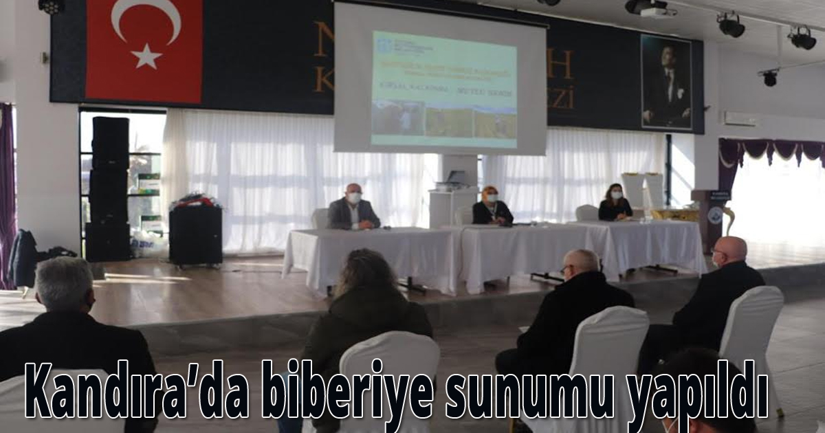 Kandıra’da biberiye sunumu yapıldı