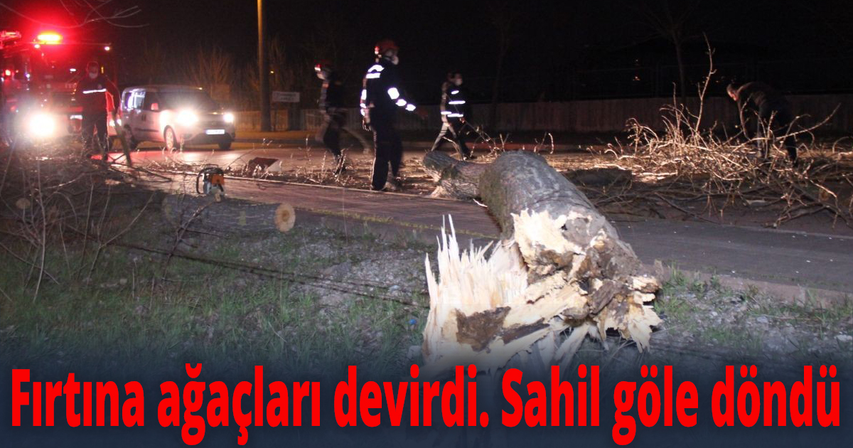 Fırtına ağaçları devirdi
