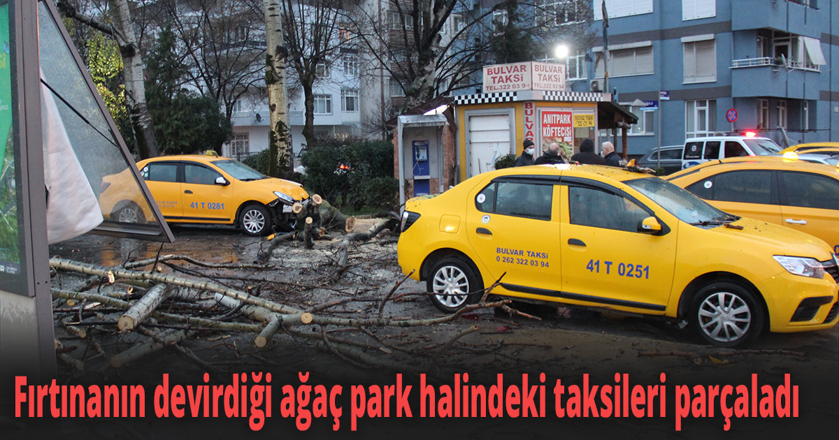 Fırtınanın devirdiği ağaç park halindeki taksileri parçaladı