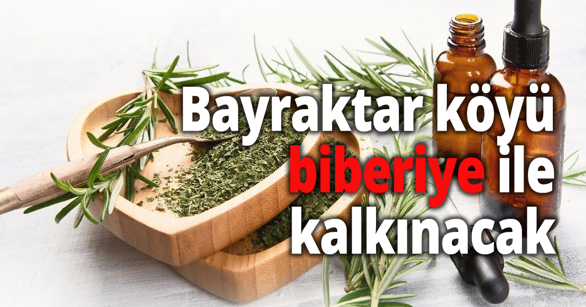 Bayraktar köyü biberiye ile kalkınacak