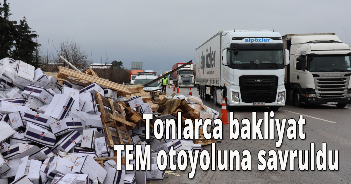 Tonlarca bakliyat TEM otoyoluna savruldu