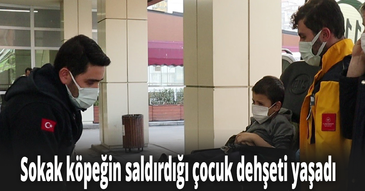 Evine giderken sokak köpeğin saldırdığı çocuk dehşeti yaşadı