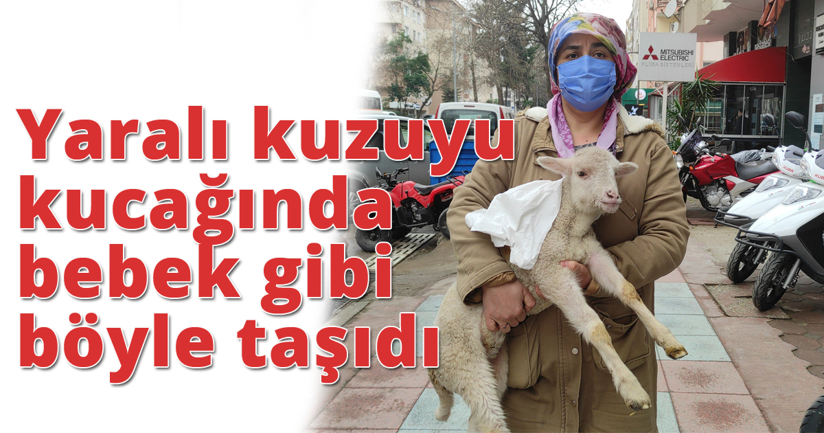 Yaralı kuzuyu kucağında bebek gibi böyle taşıdı