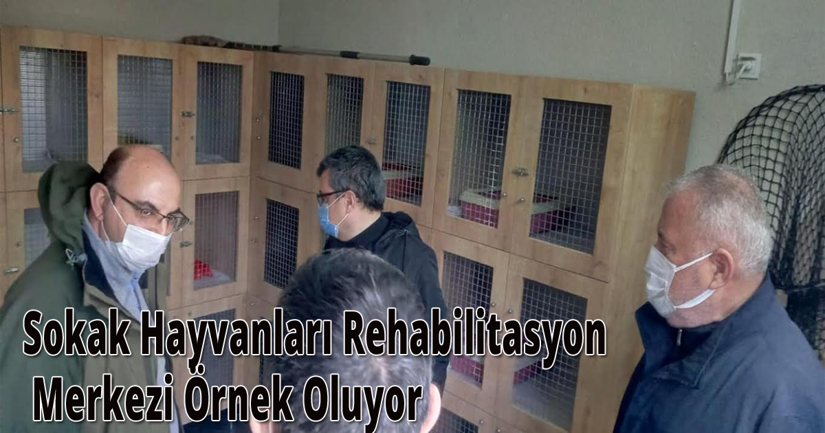 Sokak Hayvanları Rehabilitasyon Merkezi Örnek Oluyor