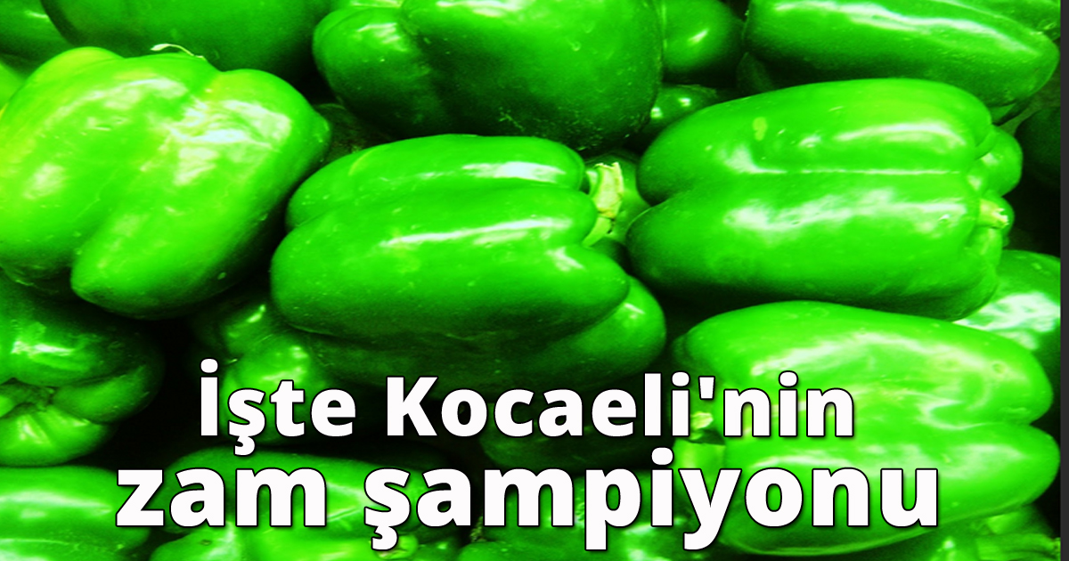 İşte Kocaeli'nin zam şampiyonu 