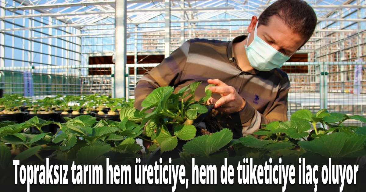 Türkiye, bu uygulamalarla tarımda devrime hazırlanıyor