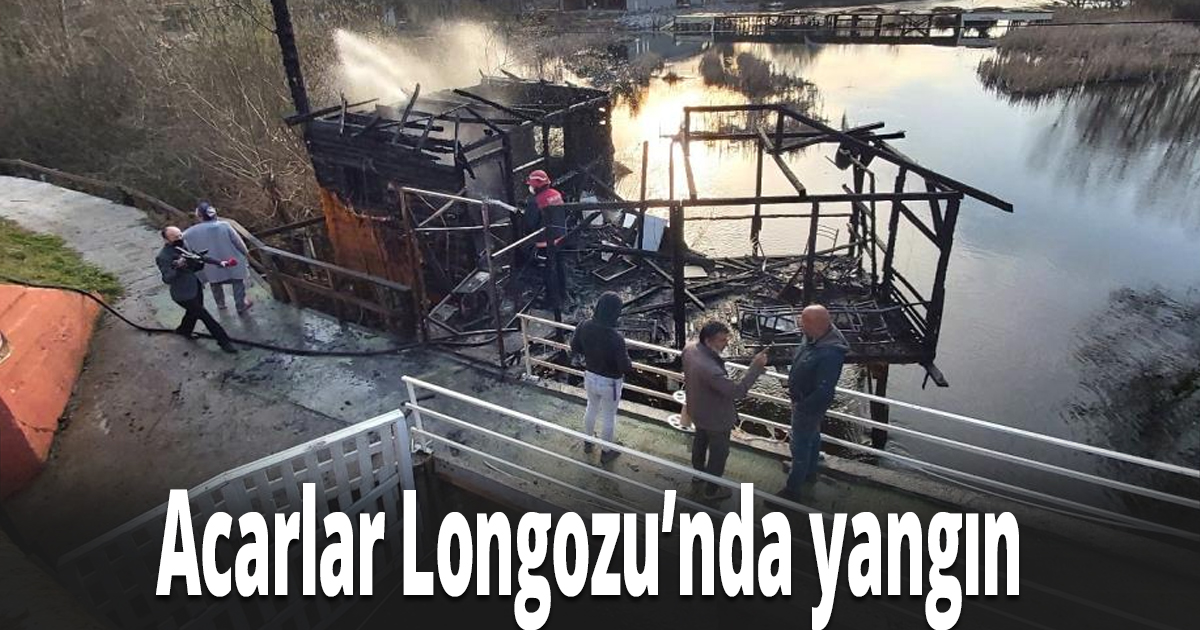 Acarlar Longozu’nda yangın