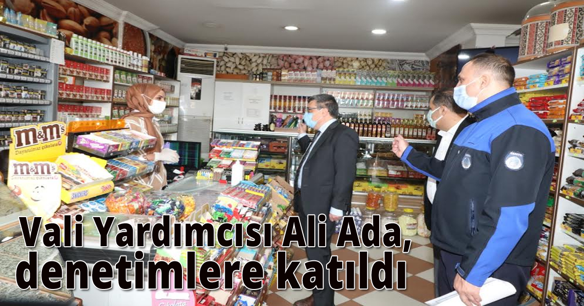  Vali Yardımcısı Ali Ada, denetimlere katıldı 