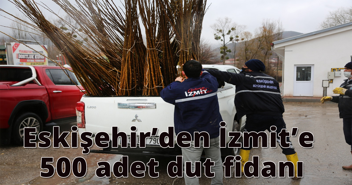 Eskişehir’den İzmit’e 500 adet dut fidanı