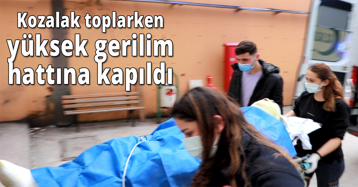 Kozalak toplarken yüksek gerilim hattına kapıldı