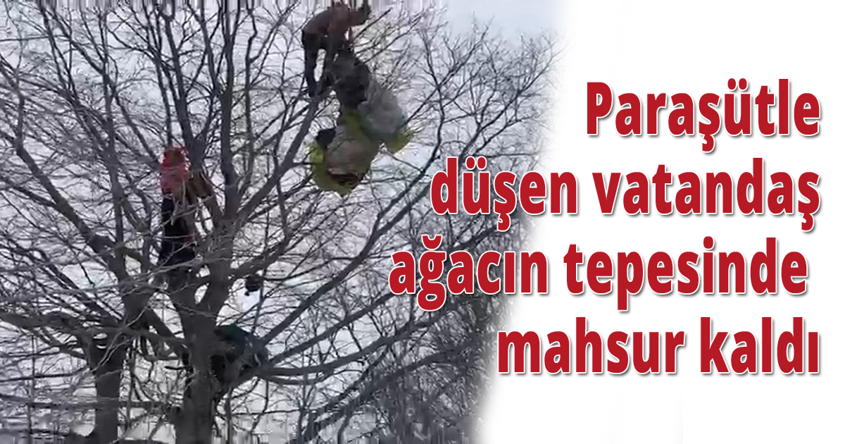 Paraşütle düşen vatandaş ağacın tepesinde mahsur kaldı