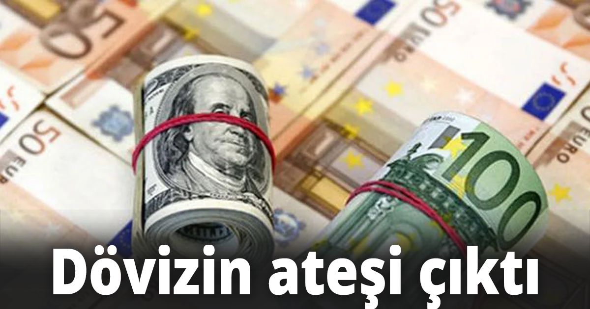 Dövizin ateşi çıktı