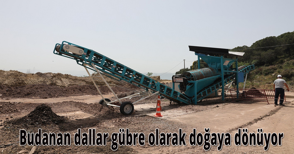 Budanan dallar gübre olarak doğaya dönüyor