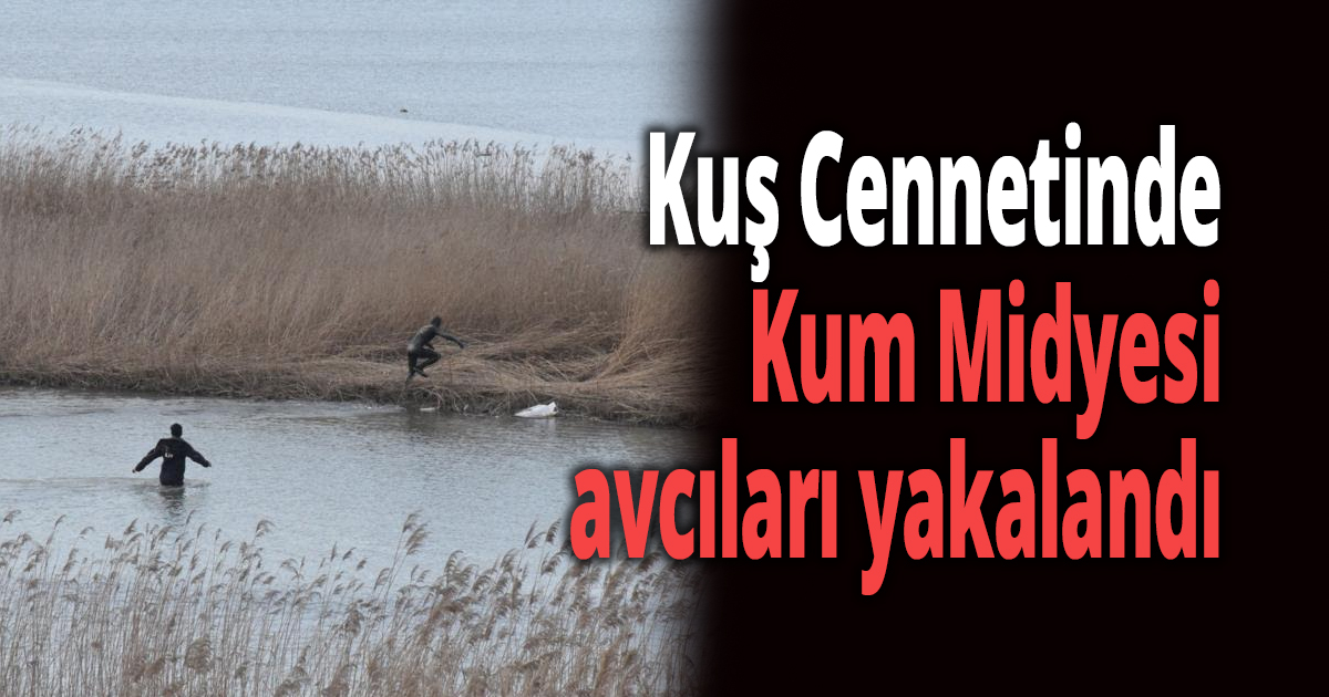 Kum Midyesi avcılarına baskın