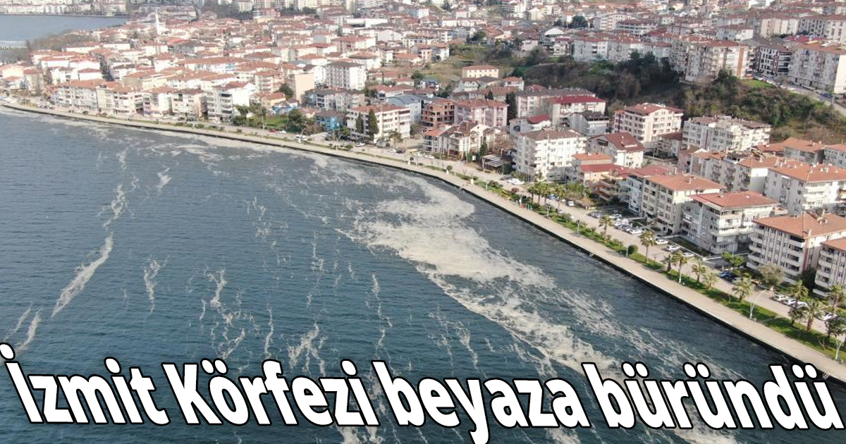 İzmit Körfezi beyaza büründü