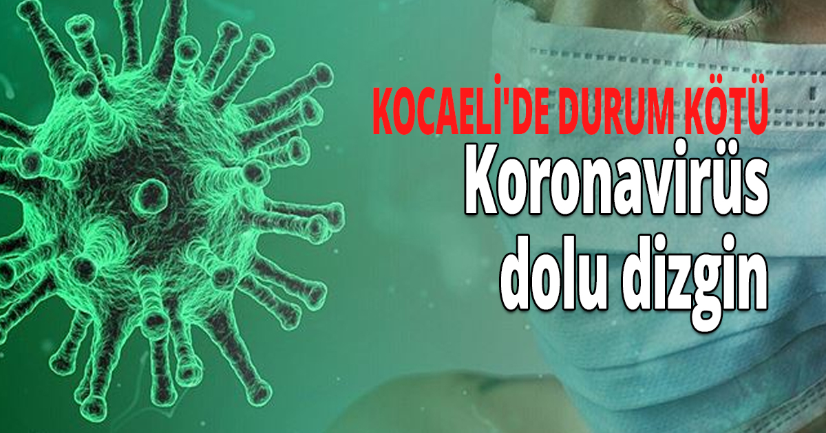 Hergün daha kötüye gidiyoruz