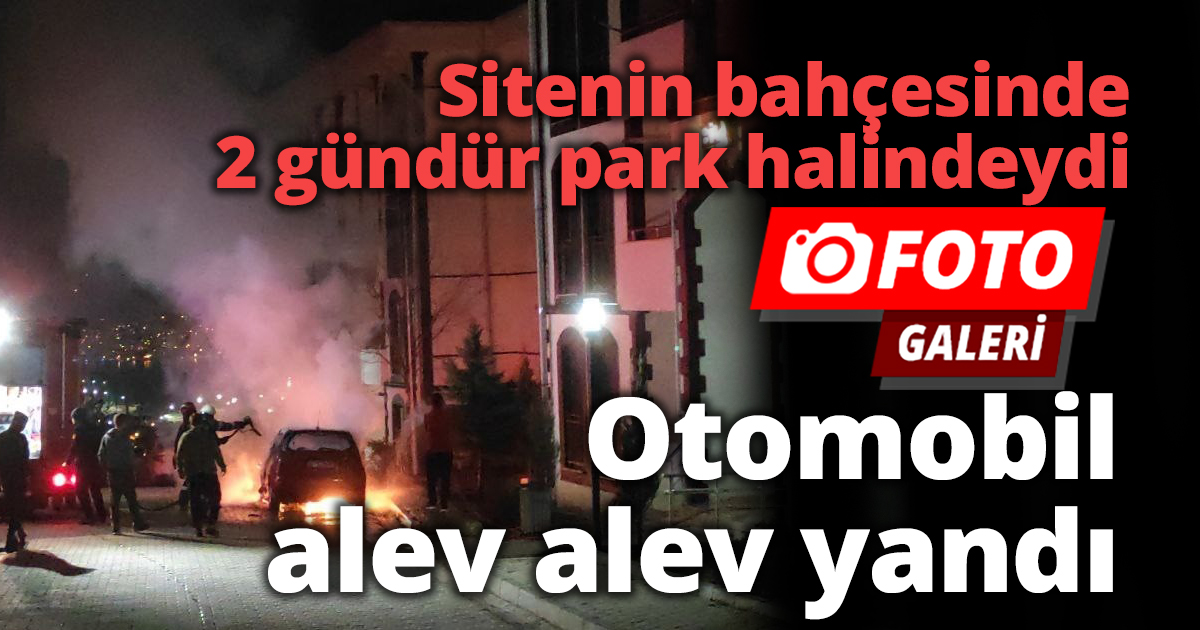 Park halindeki otomobil alev alev yandı