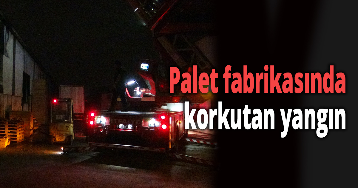 Palet fabrikasında korkutan yangın