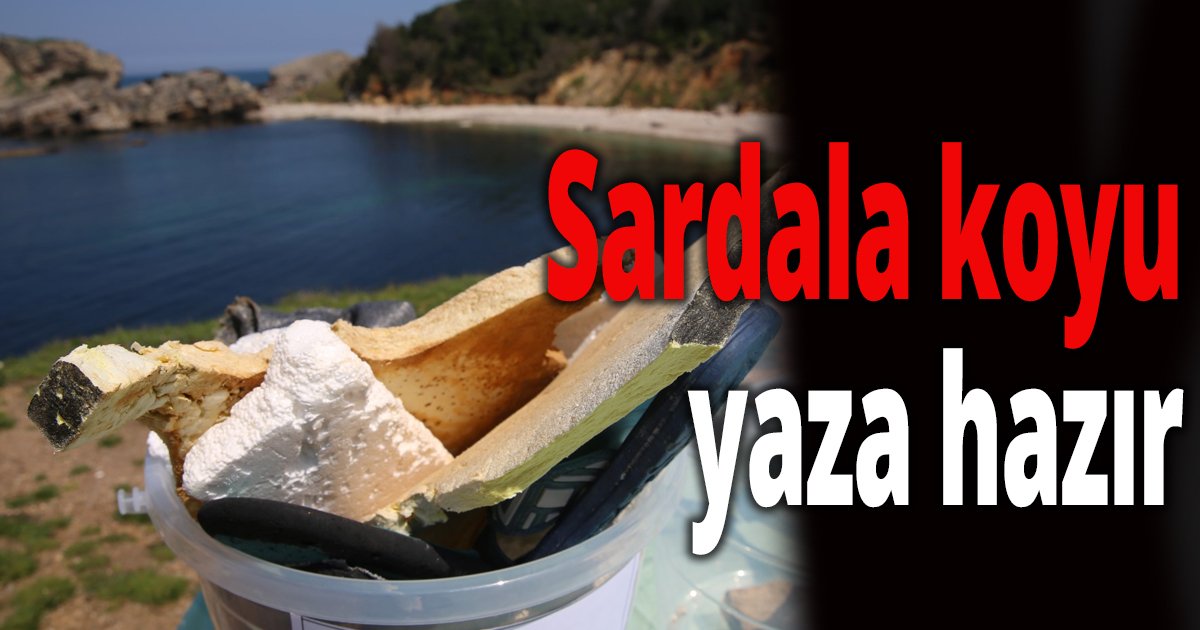 Sardala koyu yaza hazır