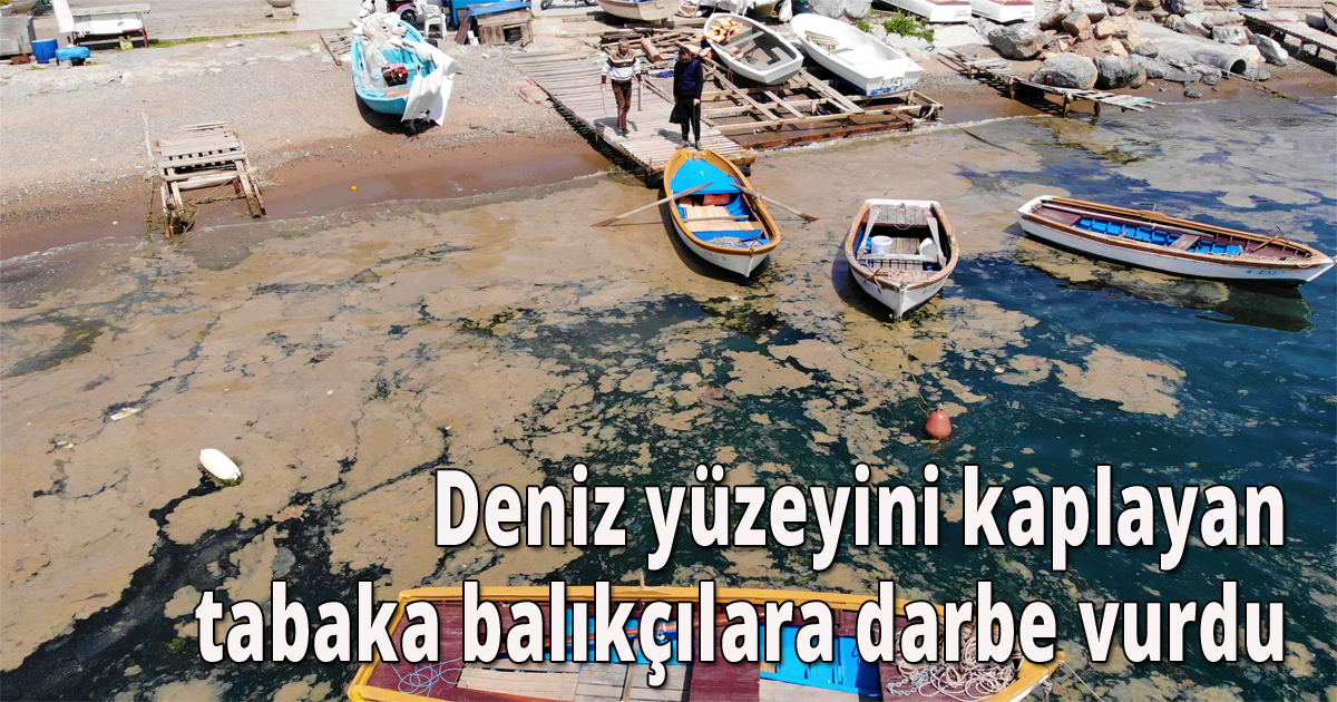 Deniz yüzeyini kaplayan tabaka balıkçılara darbe vurdu