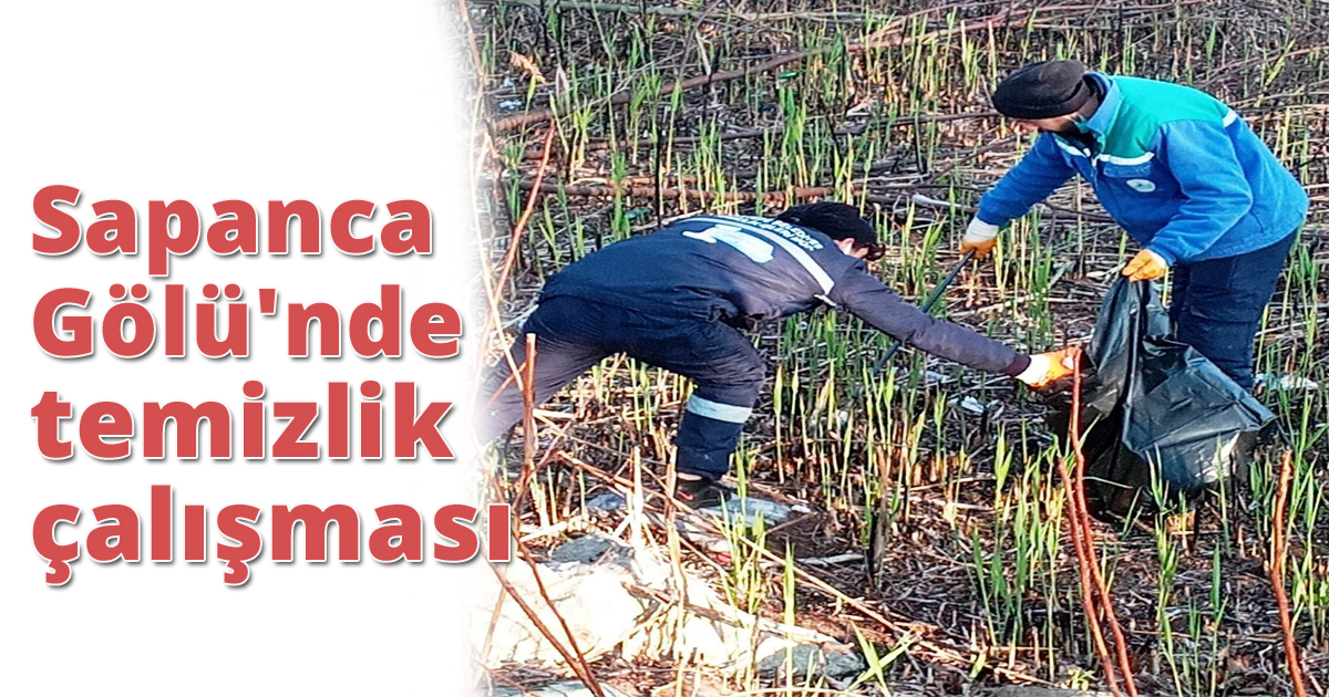 Sapanca Gölü'nde temizlik çalışması
