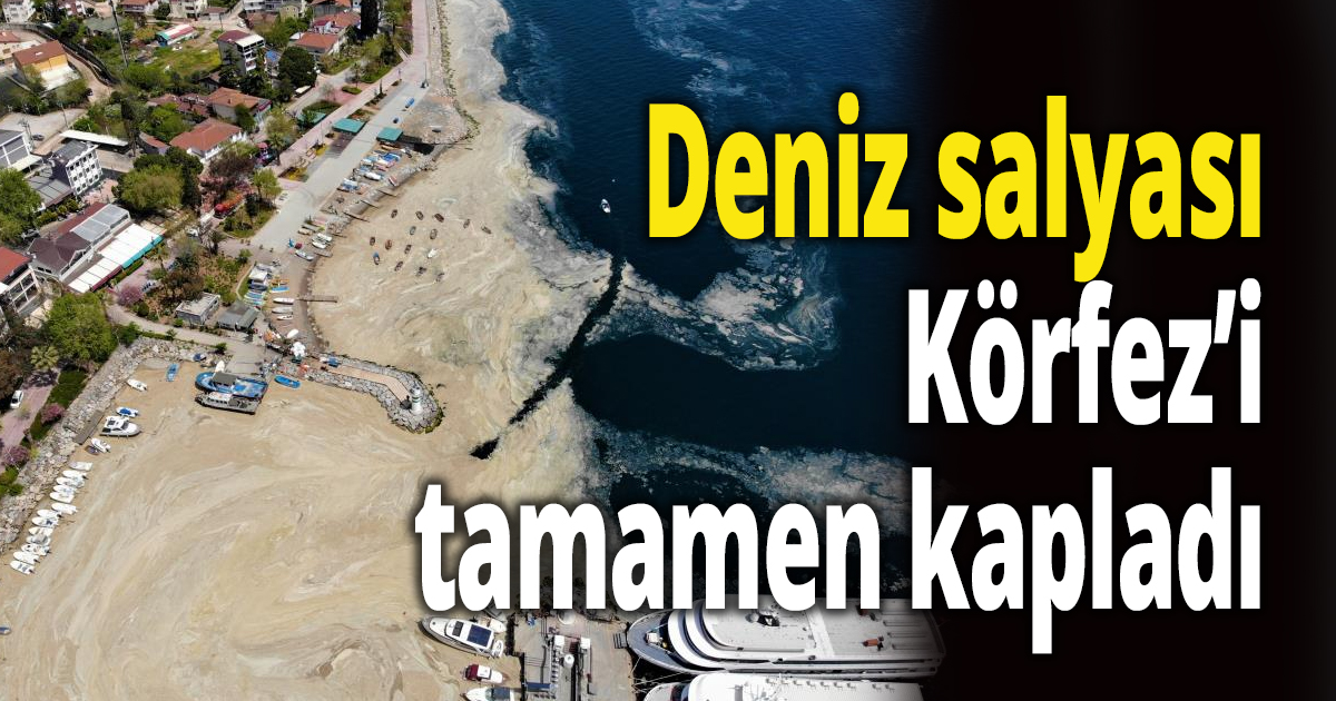 Deniz salyası bu kez Körfez’i tamamen kapladı