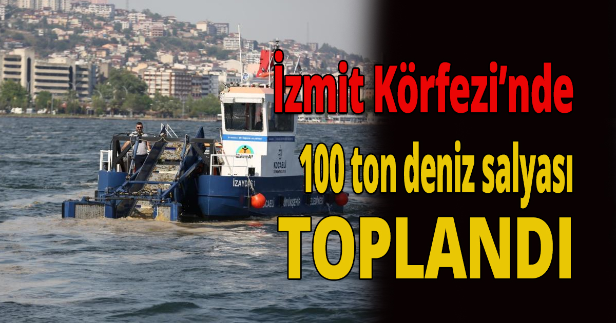 100 ton deniz salyası toplandı