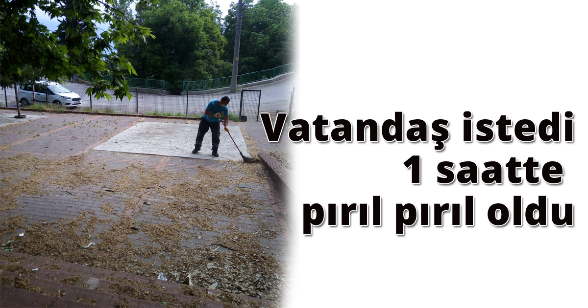 Vatandaş istedi, İzmit Belediyesi 1 saatte pırıl pırıl yaptı