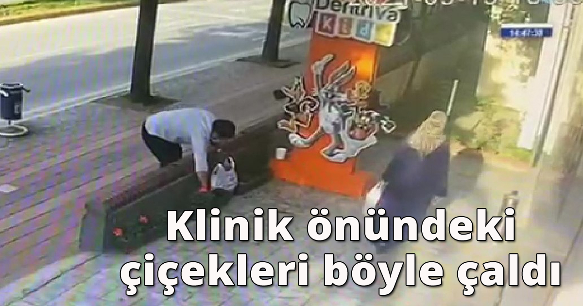  Klinik önündeki çiçekleri böyle çaldı