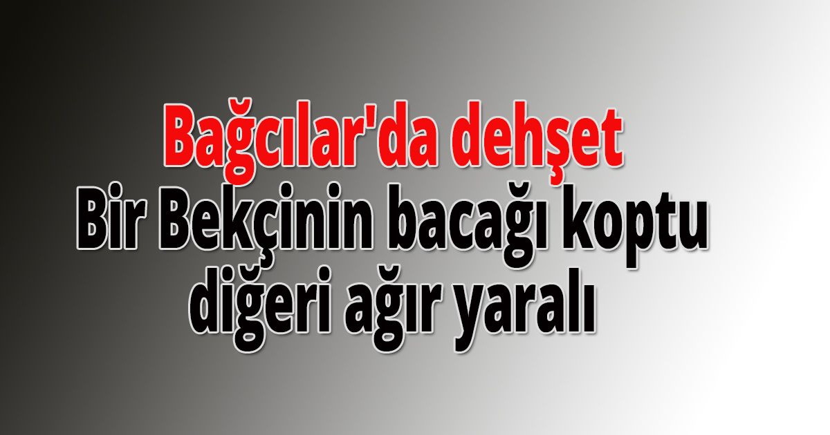 Bağcılar'da dehşet