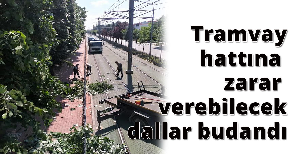Tramvay hattına zarar verebilecek dallar budandı