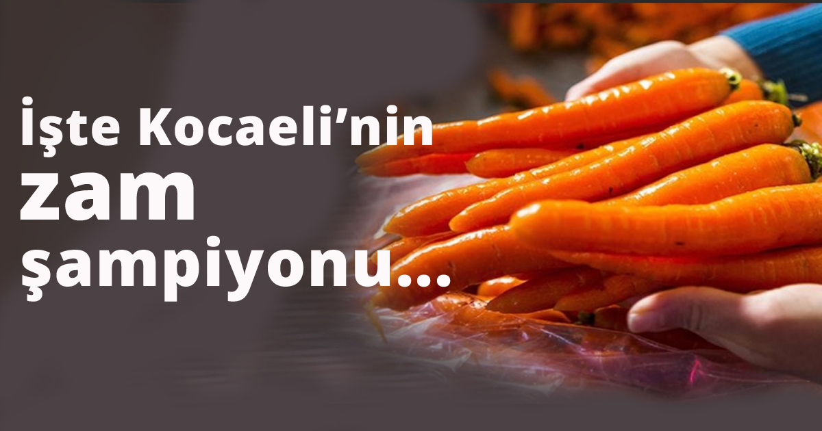 İşte Kocaeli'nin zam şampiyonu...