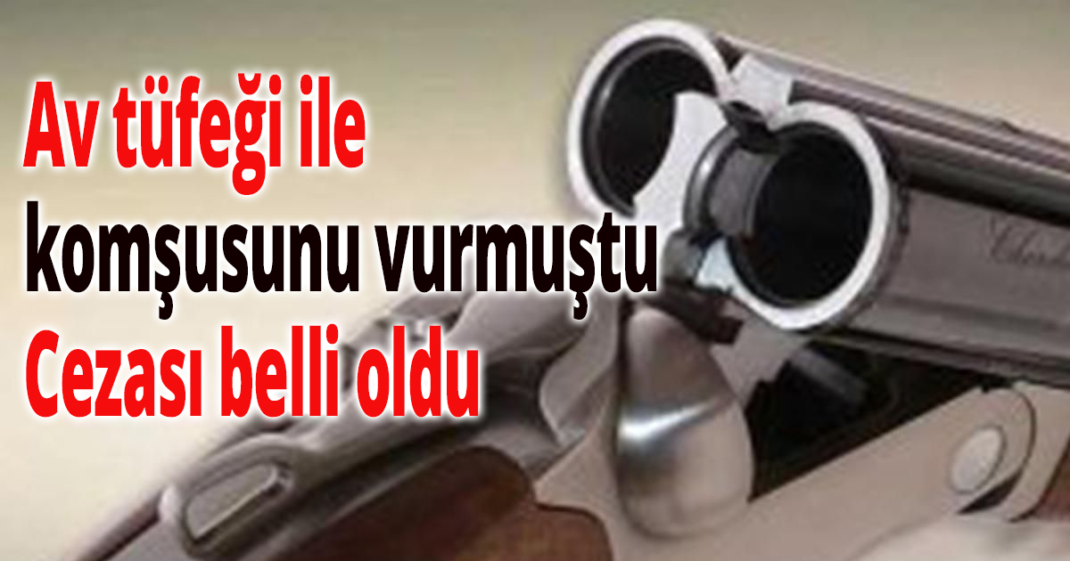 Av tüfeği ile komşusunu vurmuştu
