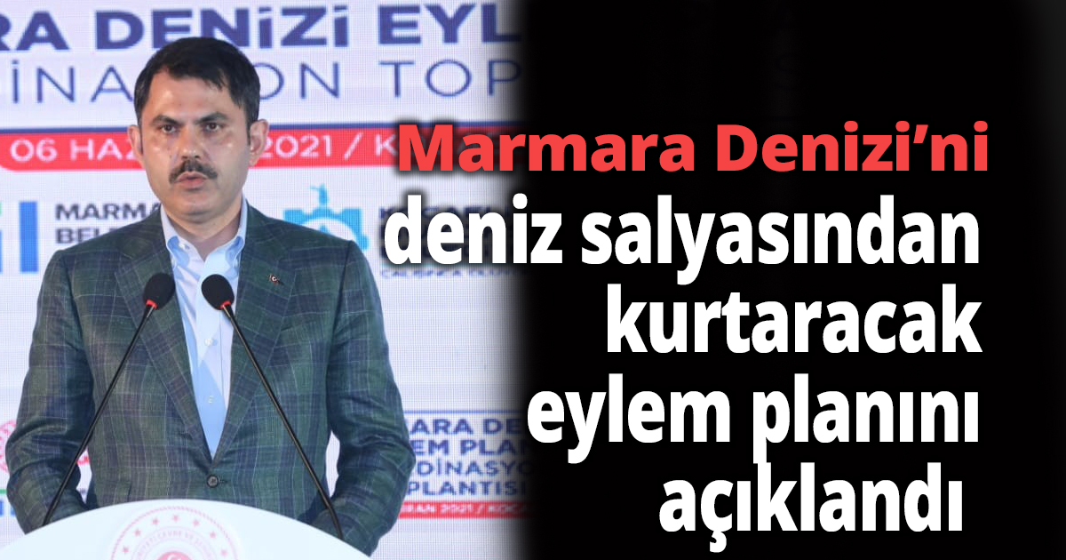Marmara Denizi’ni deniz salyasından kurtaracak eylem planını açıklandı