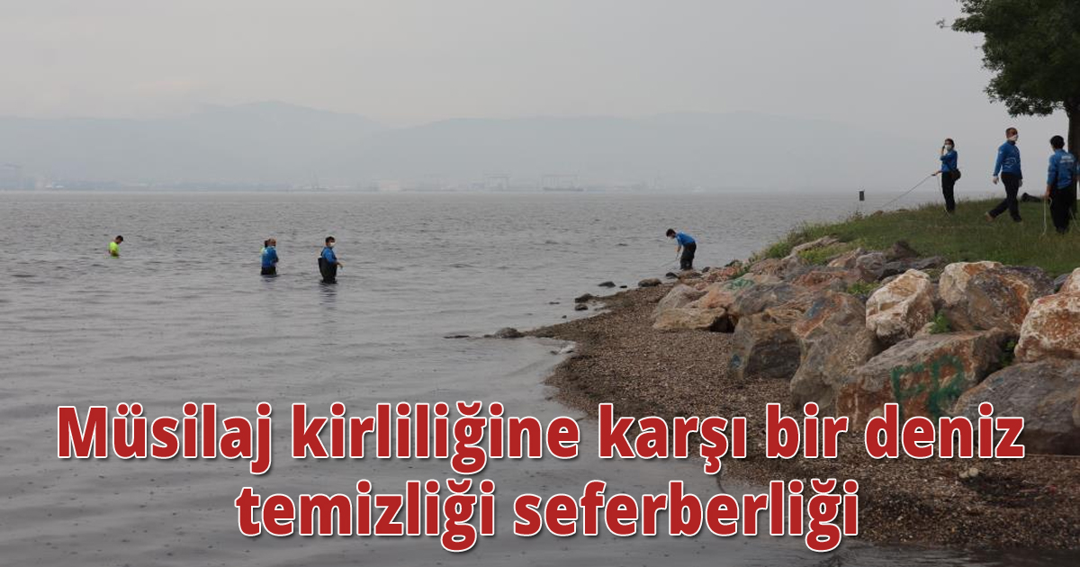 Deniz salyasının sardığı İzmit Körfezi’nde denizi temizlediler, sahilde çöp topladılar