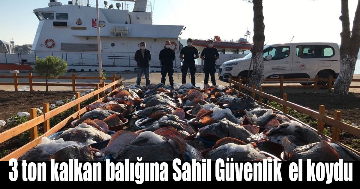 3 ton kalkan balığına Sahil Güvenlik  el koydu