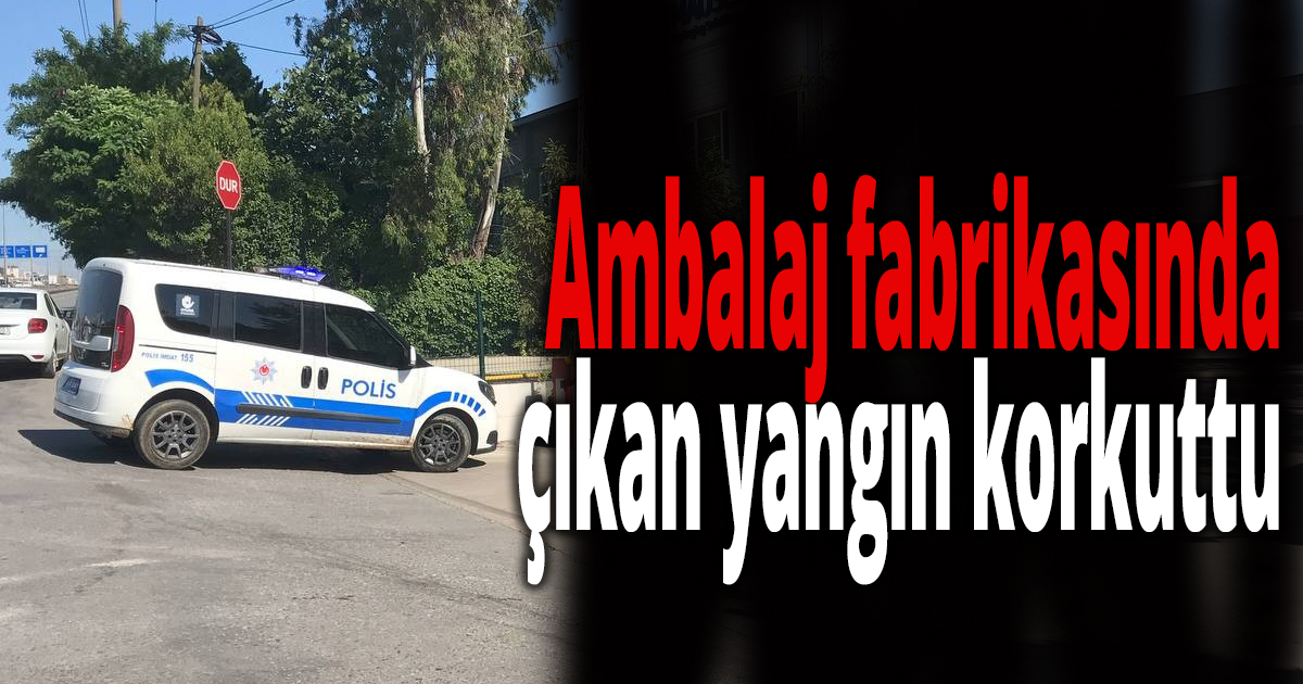 Ambalaj fabrikasında çıkan yangın korkuttu