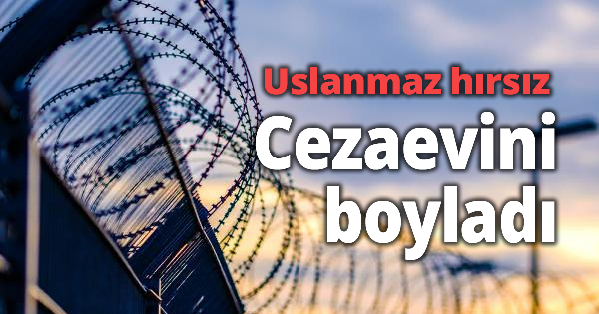 Uslanmaz hırsız cezaevini boyladı