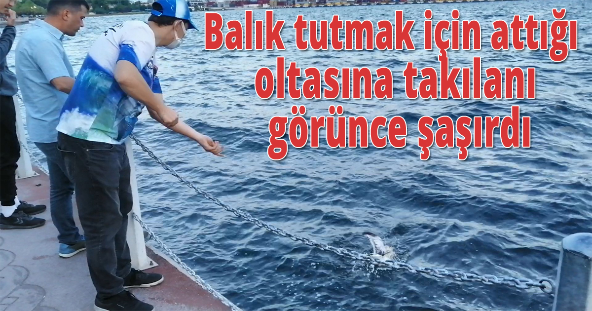 Balık tutmak için attığı oltasına takılanı görünce şaşırdı