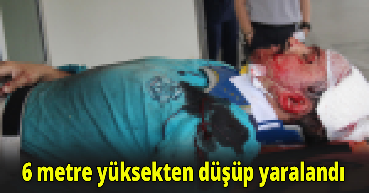 Çatıda tadilat yapıyordu