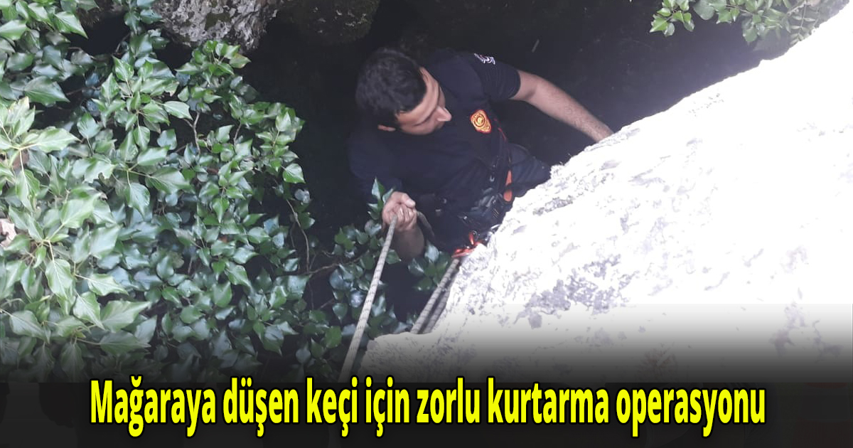Metrelerce yükseklikten mağaraya keçi düştü