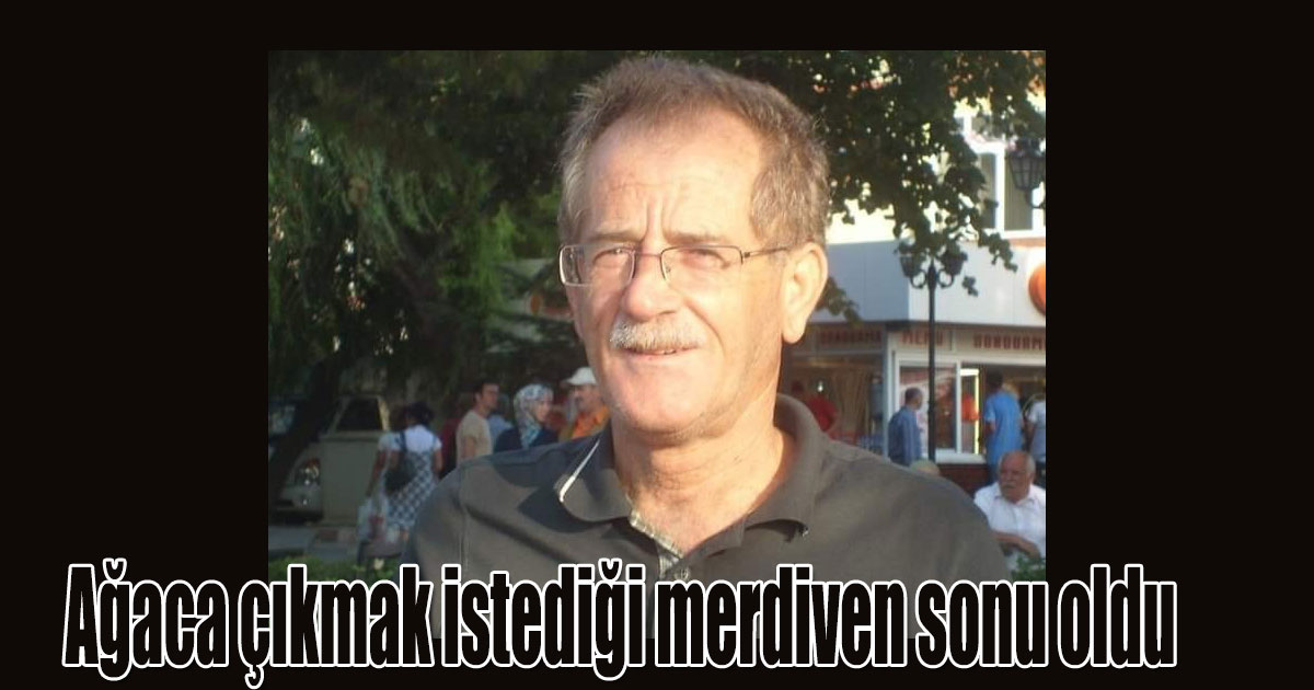 Ağaca çıkmak istediği merdiven sonu oldu